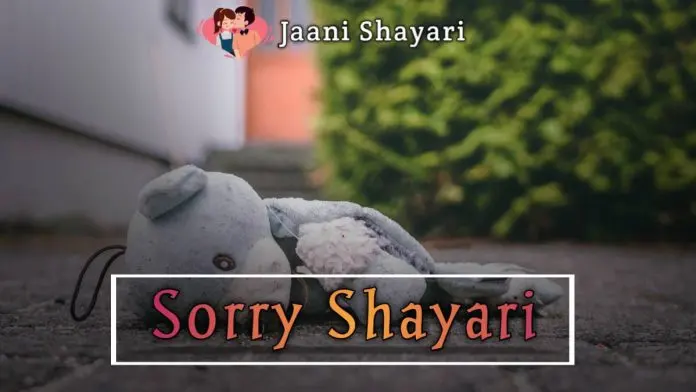 Sorry shayari in hindi